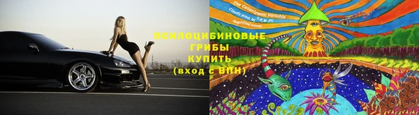мяу мяу кристалл Богданович