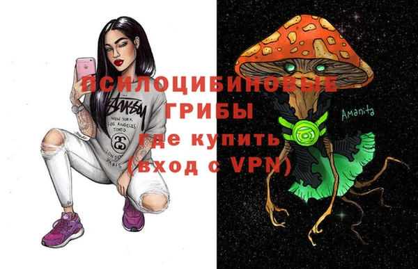 тгк Сатка