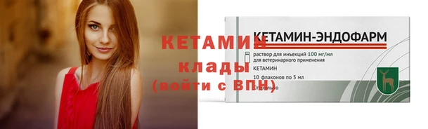 шишки Саяногорск