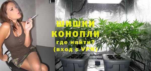 сатива Богородск