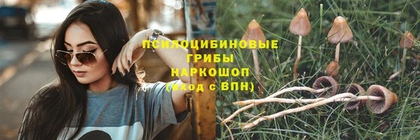 сатива Богородск
